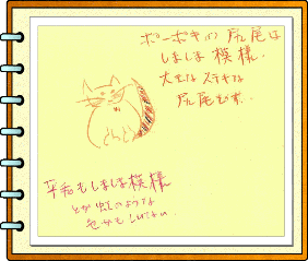 絵本