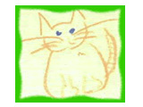 POPOKI